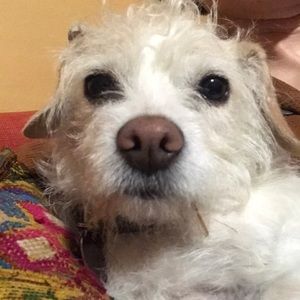 Meet your Posher, Claire